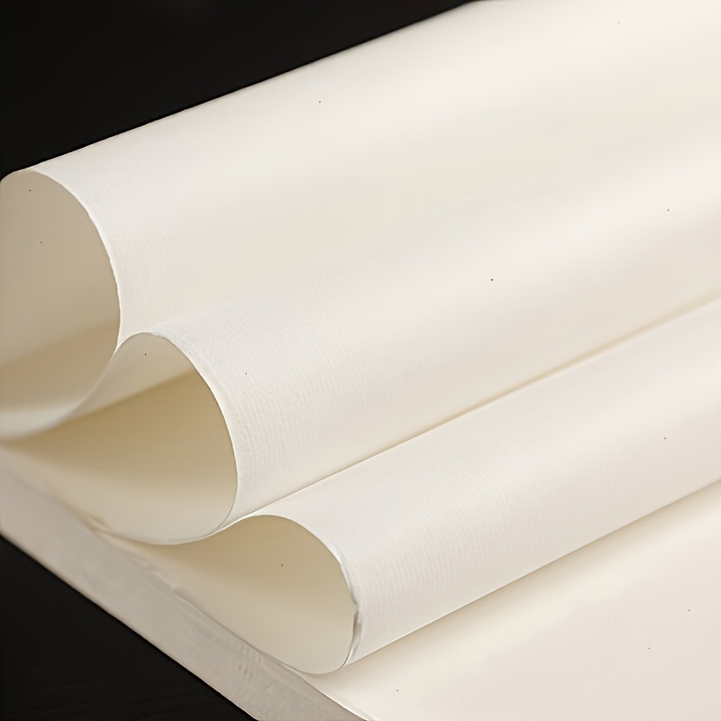 100/200 Buah Kertas Beras Luki - Ink Blotter Paper ulasan dan harga